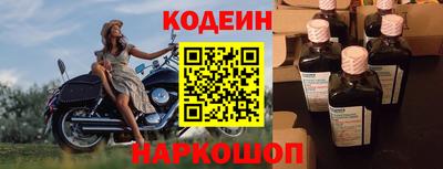 прущие грибы Абакан