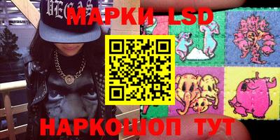 прущие грибы Абакан
