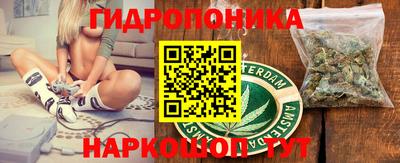 прущие грибы Абакан