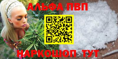 прущие грибы Абакан