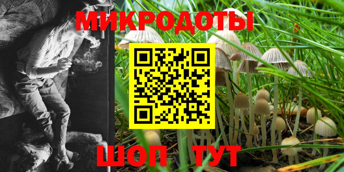 Галлюциногенные грибы Cubensis Аша