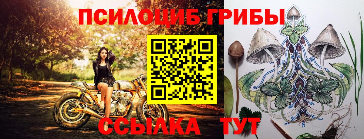 Галлюциногенные грибы GOLDEN TEACHER  Вход с VPN  Галлюциногенные грибы GOLDEN TEACHER  Аша 